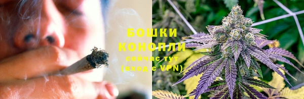 трава Нефтегорск
